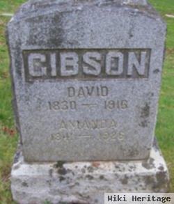 David Gibson