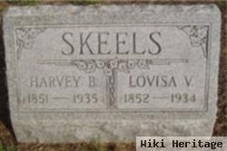 Lovisa V. Skeels