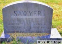 Ansel M Sawyer