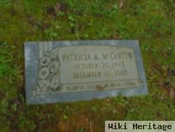 Patricia A Mccarter