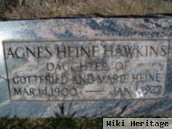 Agnes Heine Hawkins