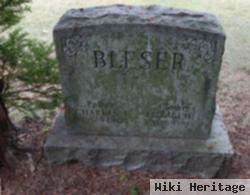 Elizabeth L Bleser