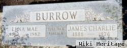 James Charles Burrow