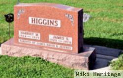 James S Higgins