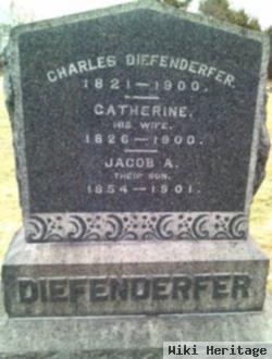 Anna Catherine "catherine" Kamerer Diefenderfer