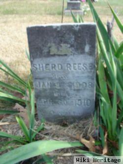 Sherd Reese
