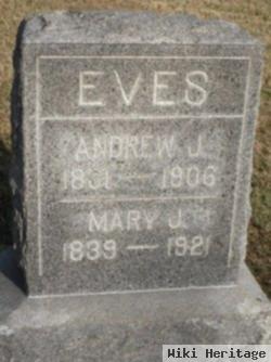 Andrew J Eves