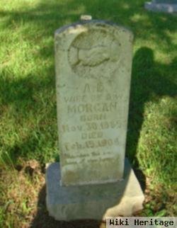 Annie E. Gobbel Morgan