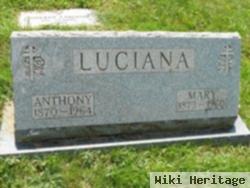 Anthony Luciana