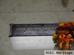 Julio Palmas Garcia