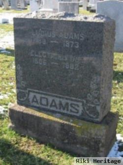 Lucius Adams