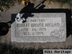 Robert Wayne Haslam