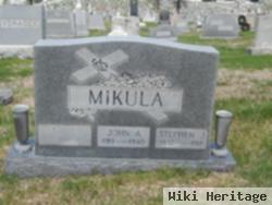 Stephen J Mikula