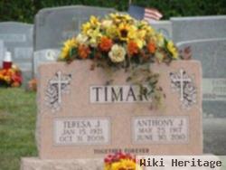 Teresa J. Temmel Timar