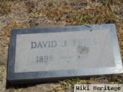 David J. Fries