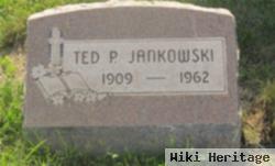 Ted P. Jankowski