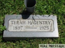 Terah H Gentry