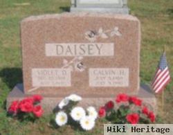 Calvin Horace Daisey