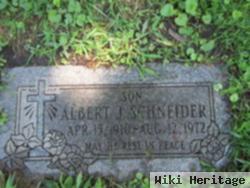 Albert J Schneider