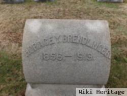 Horace Y Brendlinger