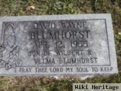 David Wayne Blumhorst