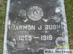 Harmon J Bush