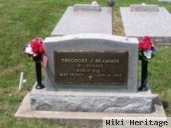 Theodore J. Brammer