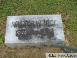 William Walter Vice