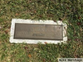 Harry E. Burns