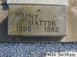 Tony Mattos