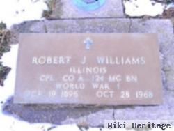 Robert J. Williams