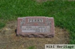 Amon S Perry