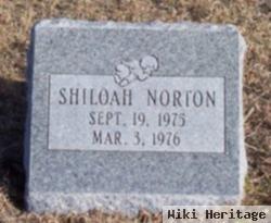 Shiloah E Norton