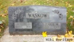 Carol M Henrickson Waskow