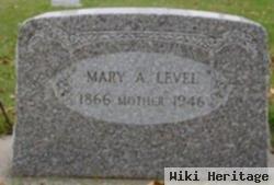 Mary Ann Lesher Level