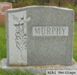 David L Murphy