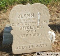 Glenn P Shelley