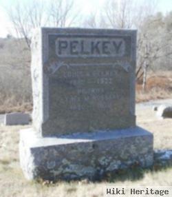 Louis Albert Pelkey