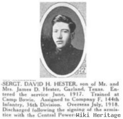 David H Hester