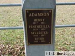 Sylvester Adamson