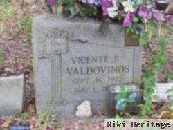 Vincente B Valdovinos