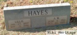 A W Hayes