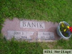 John J Banik