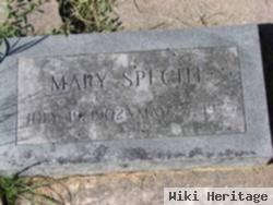 Mary Schneider Specht