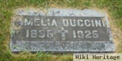 Amelia Duccini