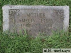 Amelia Matilda Gerhart Leisey