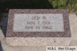 Ted A. Mcendree