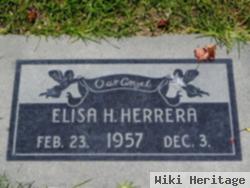 Elisa H Herrera