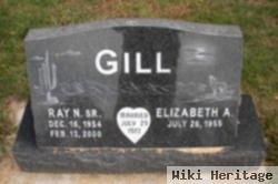 Ray N Gill, Sr