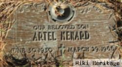 Artel Menard